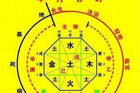 忌神|八字的喜用神与忌神详解